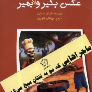 مجموعه آر ال استاین