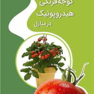تولید گوجه فرنگی هیدروپونیک در منازل