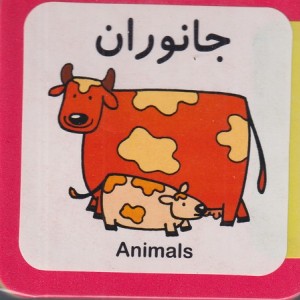 جانوران نشر فرشتگان