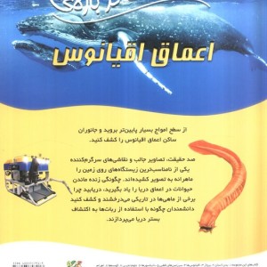 100 حقیقت درباره اعماق اقیانوس سایه گستر