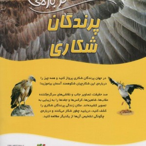 100 حقیقت درباره پرندگان شکاری سایه گستر