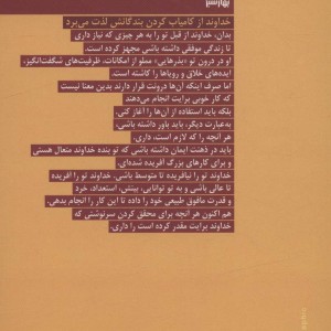 چارچوب ذهنی فراوانی