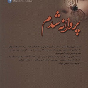 پروانه شدم
