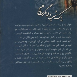 یک شب و دیگر هیچ