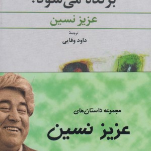 مجموعه داستان های عزیز نسین 4ج ققنوس اثر عزیز نسین