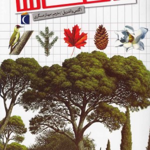 شگفتی های جهان درخت ها محراب قلم