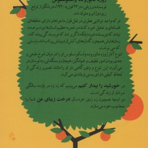 کتاب خورشید را بیدار کنیم نشر جغد