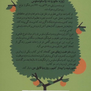 کتاب درخت زیبای من نشر جغد