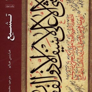 تشیع - هاینس هالم