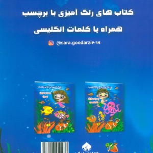 ری را و رایان اقیانوس