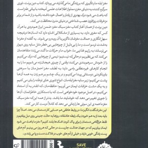 مغز سبک مغز سایلاو