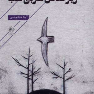 زیر صحن سربی شب فصل پنجم