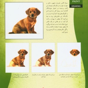 اصول طراحی بامداد رنگی