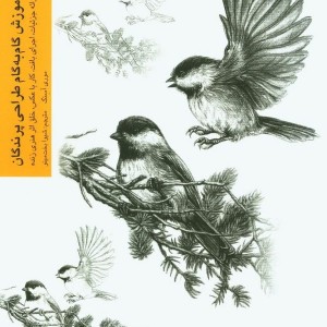 آموزش گام به گام طراحی پرندگان