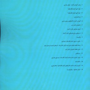 کتاب 42 قطعه سطح بندی شده تکنوازی گیتار فلامنکو