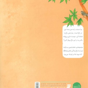 ماه زمین