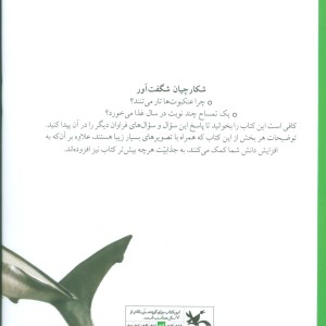کتاب شکارچیان شگفت آور اثر آنجلا ویلکز