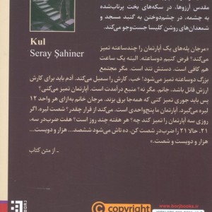 پله پله تنهایی - سرای شاهینر