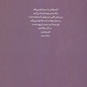 گزیده شعر سید علی موسوی گرمارودی