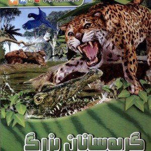 کاوشگران جوان گربه سانان بزرگ آبشن - کلیر لولین