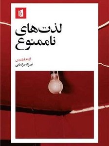 کتاب لذت های ناممنوع شمیز،پالتویی،بیدگل