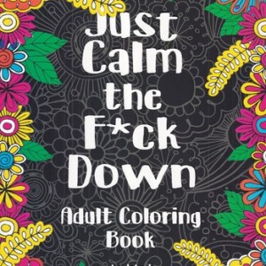 کتاب رنگ آمیزی بزرگسال JUST THE FUCK DOWN شمیز،رحلی،حوض نقره