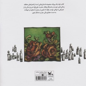 تولد یک پروانه