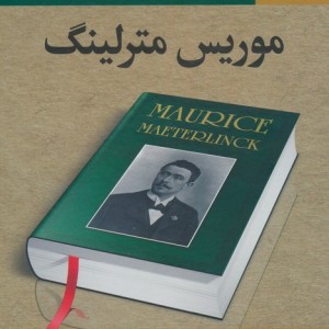 زنبور عسل مورچگان موریانه