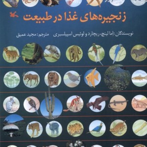 زنجیره های غذا در طبیعت کانون پرورش فکری