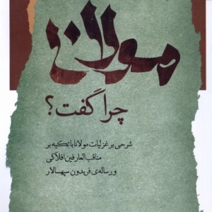مولانا چرا گفت نگاه معاصر