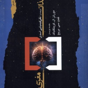 لذات مغزی
