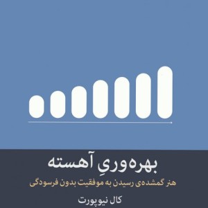 بهره وری آهسته