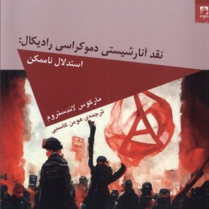 نقد آنارشیستی دموکراسی رادیکال
