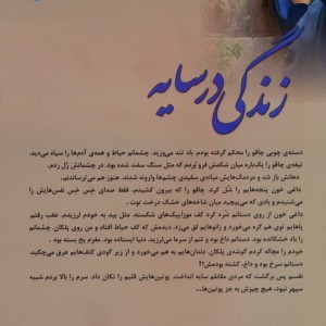 زندگی در سایه