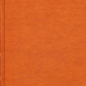رباعیات خیام با مینیاتور 5زبانه