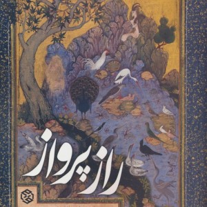 راز پرواز نشر روزنه
