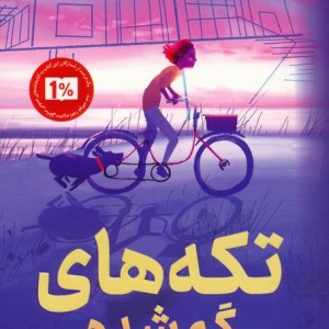 تکه های گم شده