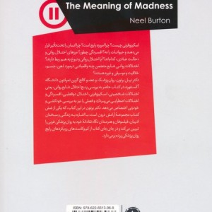 معنای دیوانگی