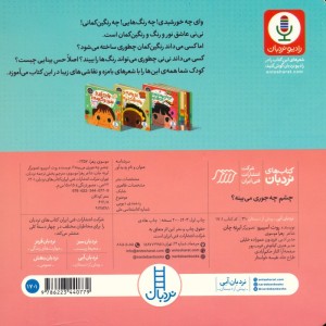 چشم چه جوری می بینه