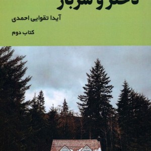 دختر و سرباز 2