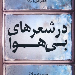 در شعر های بی هوا
