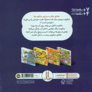 می شه عاشق عنکبوت ها شد