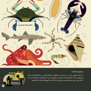 دنیای رنگارنگ اختاپوس ها