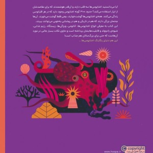 دنیای رنگارنگ اختاپوس ها