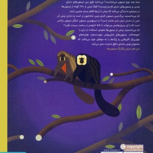 دنیای رنگارنگ میمون ها