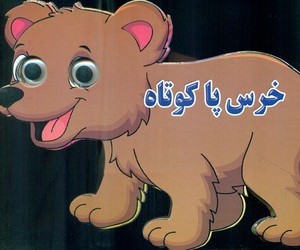 کتاب چشمی خرس پا کوتاه نارنج