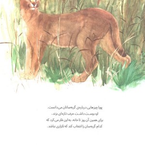 بزرگ ترین گربه ی جهان - آریا گازر