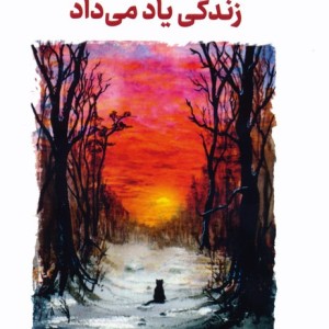 گربه ای که راه و رسم زندگی یاد می داد