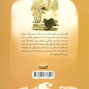 آقای خوش تیپ