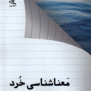 معنا شناسی خرد